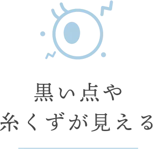 黒い点や糸くずが見える