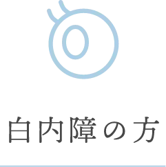 黒い点や糸くずが見える